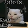 Jefecito No se aloque
