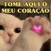 TOME AQUI O MEU CORAÇÃO