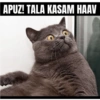 APUZ! TALA KASAM HAAV