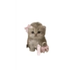 Kucing lucu 16