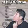 Windah basudara meme 3