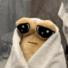 POU 7