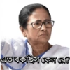 এত বকছিস কেন রে?