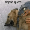 MEMES XD 16