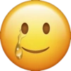 Emoji iPhone  6