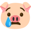 Emoji iPhone Pig 🐷 13