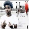 Sybau 9
