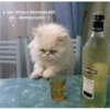 o son miyavi demeyecekti abi.. demeyecekti :'( UTINI MARTINI MANCO