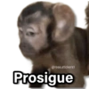 Memes Changuitos🐒 11