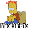 Los Simpson 14