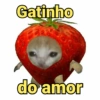 Gatinho do amor