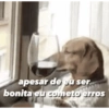 apesar de eu ser bonita eu cometo erros