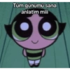 Kocama 5