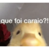 que foi caraio?!