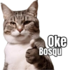 Oke Bosqu