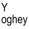 Y oghey