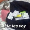 Gatitos Memes😺✨💕9 12