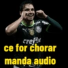Palmeiras  13