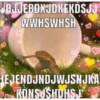 Frog 18