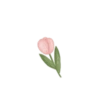 Nature Soft 23