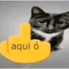 aqui ó