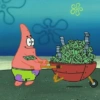 Money 6