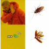 Zueirando 10
