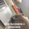 Dios iluminame o eliminame