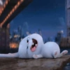 Snowball 🐇 12