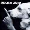 ENGOLE O CHORO
