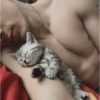 Котята 🔥🔥 11