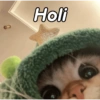 Gatitos Memes😺✨💕9 5
