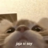 jaja si soy
