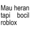 Mau heran tapi bocil roblox