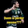 Palmeiras  14