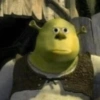 Memes Shrek 😎 11