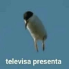 televisa presenta