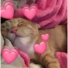 Máxima ternura 💕 9