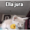 Ella jura