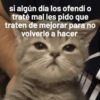 Gatos Pa Contestar🐈⚡ 19