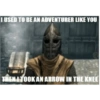 I USED TO BE AN ADVENTURER LIKE YOU THEN I TOOK AN ARROW IN THE KNEE