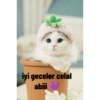 Iyi geceler 💛 27