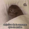 G objetivo de la semana: que se acabe