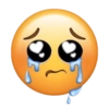 MEMES ATUALIZADOSS 12