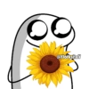 Flores amarillas 🌻🌼 5