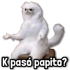 K pasó papito?