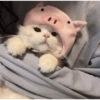 Gatinhos 7