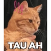 TAU AH