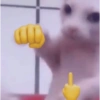 MEMES XD 11