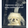 🫪 RANDOM CON FRASES 🫪 14